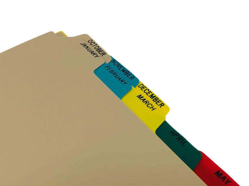 Carstens Heavy Duty Plastic Monthly Divider Set, 12-Tab, Multi-Color, for Side-Opening 3-Ring Binders, 1 Set - Image 2